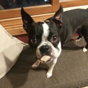 Meet your Posher, Alex